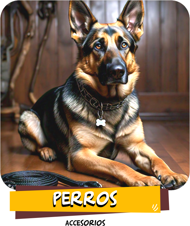 Perros Productos